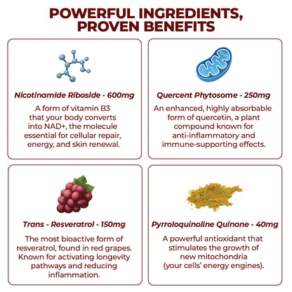 ZOOONE - Liquid NAD+